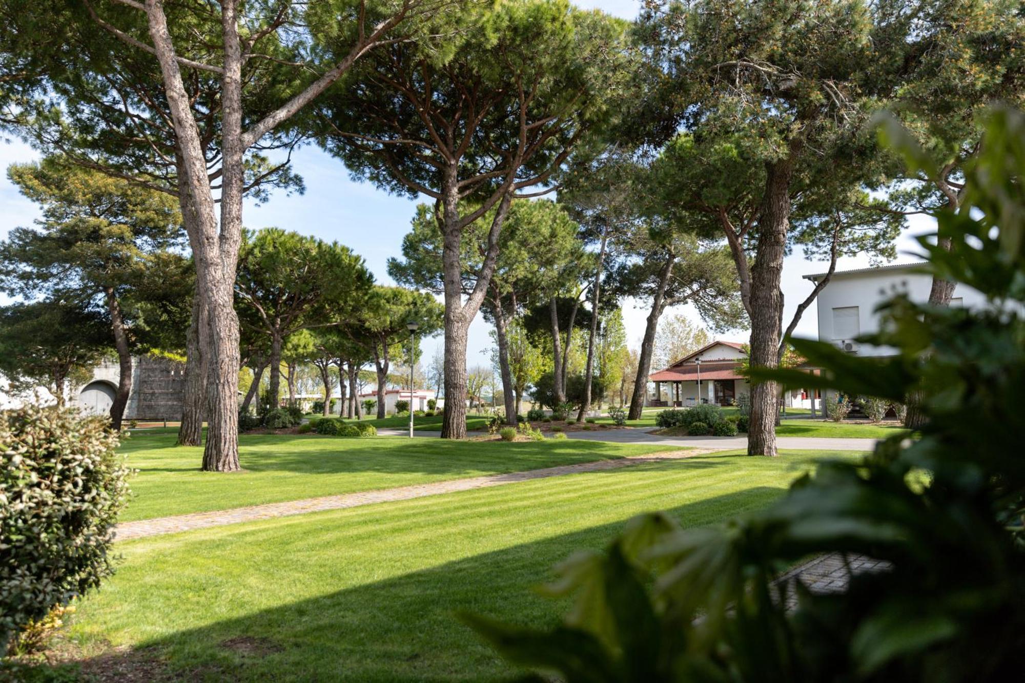 Villaggio San Paolo カヴァッリーノ・トレポルティ エクステリア 写真